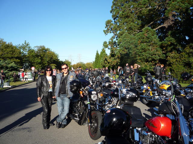 Harley Rally Christchurch NZ 2010